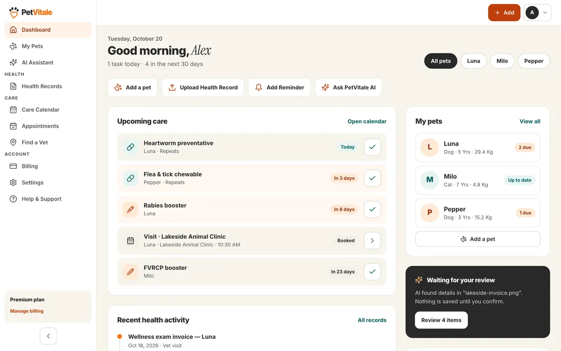 The PetVitale dashboard: today's care, upcoming vaccines and medications for three pets, and a vet invoice waiting for review