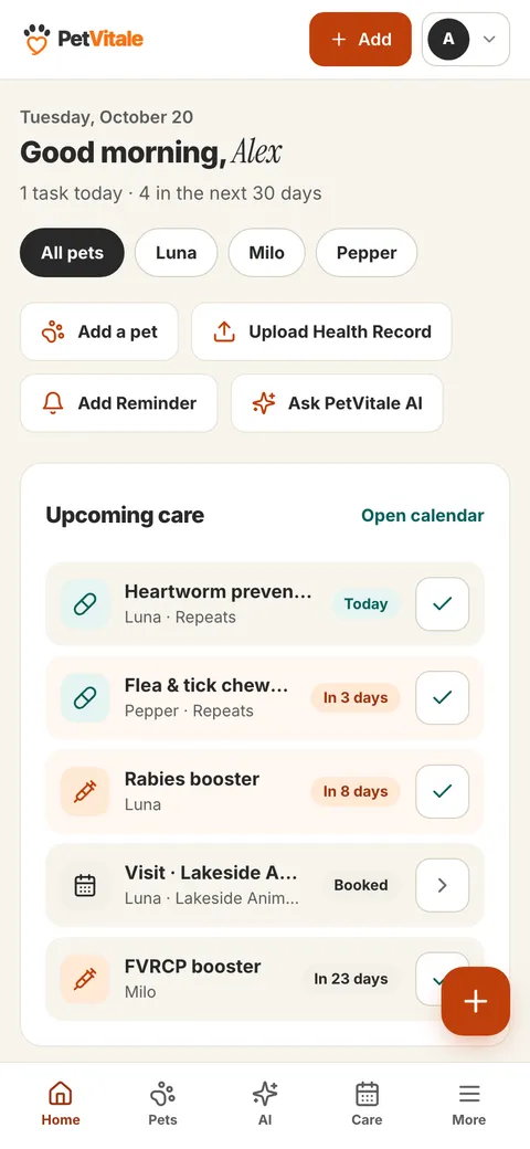 The same dashboard on a phone